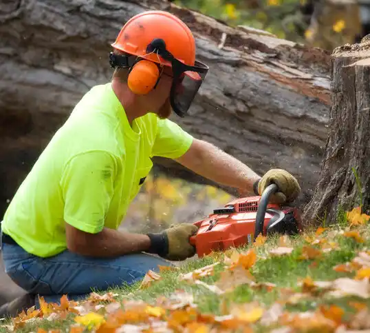 tree services Eagle Lake